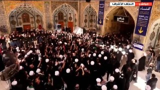 Al Mayadeen - ערוץ Al Mayadeen