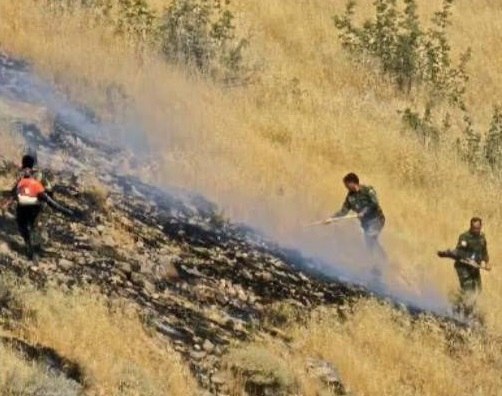 سازمان حفاظت محیط زیست: ✳️ آتشسوزی اراضی روستای چفتان طارم مهار شد🔸 سرپرست اداره حفاظت محیط زیست شهرستان طارم از مهار بهموقع آتشسوزی در اراضی