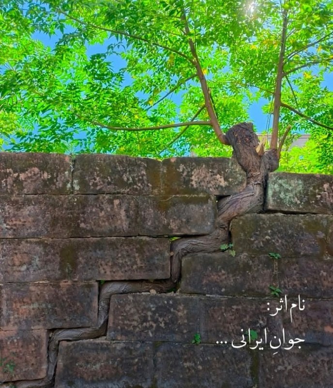 خبر ایران | irNews: یکم شهریور 1405 دلار، 200 هزار تومان شد مگه از یکم شهریور 1404 که دلار بود 95 تومن چند سال میگذره!؟ @irNewsنام اثر...جوا