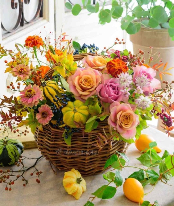 💞پندانه💞: 🍃🌼 روزتــون عـــالــی 🌼🍃و پــراز مــوفــقــیــت امــروزتــان شــاد🌼🍃امـــروزتــان شــاد وو ســرشــاراز عـــشــق و رضــای