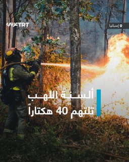 השריפות צורכות יותר מ-40 דונם של קרקע באזור גליציה, צפון מערב ספרד, בעוד הכבאים ממשיכים במאמצים להשתלט על ש…