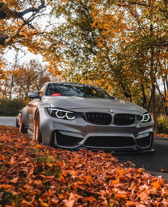 BMW M4 F82🦈