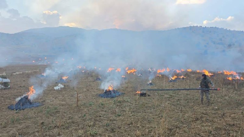 צבא לבנון מודיע על השמדת 180 דונם של חשיש באזור ג'באב אל-הומר - הרמל ותפיסת 60 טון ממנו.