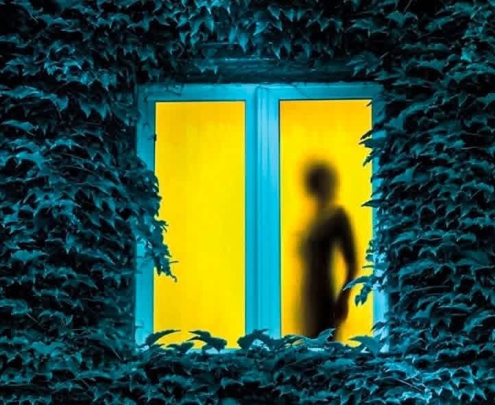 نوای مستانه● مطالب عرفانی ادبی هنری اقتصادی: همه چيز را سر جایاش مینهمحتا غبارِ انباشته بر درختان راتا آنها نيز بدانندچه آزرده میشود تنهاى ماوقتى کسی آنها را