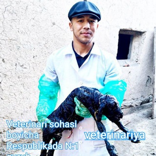 VETERINARIYA