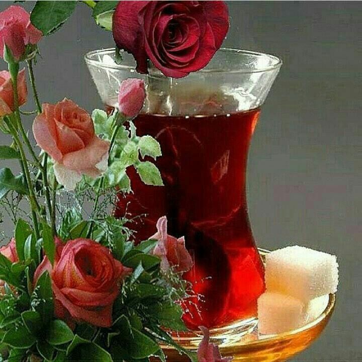 🧚♀کانال لایک وگیف🧚♀: عصرتون بکام… 