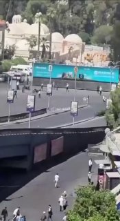 ספיר ליפקין