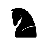 نشر اسب
