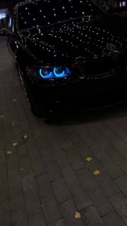 https://t.me/bmw_mpower_club