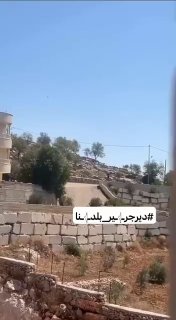 مستوطن يرعى أغنامه قرب منطقة المطل في دير جرير