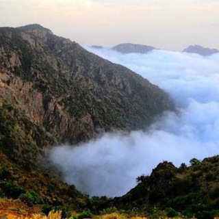 أهےـِل ٱلجَےـنٌےـوِبّےـ 🌲