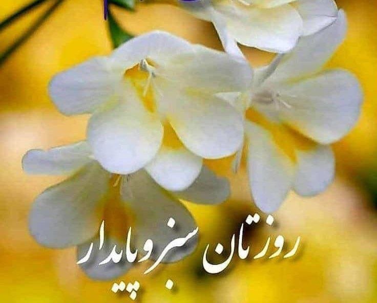 @کانال اختصاصی آرپادره@ دیار خوبان فراز قاراقان: کدام بهانه در من بارورمی کند اشتیاق وصل و دیدار چشم توراکدام عطر نشان از صبحمی شود و پایان رنج وانتظار تو را#روزا_نادرید