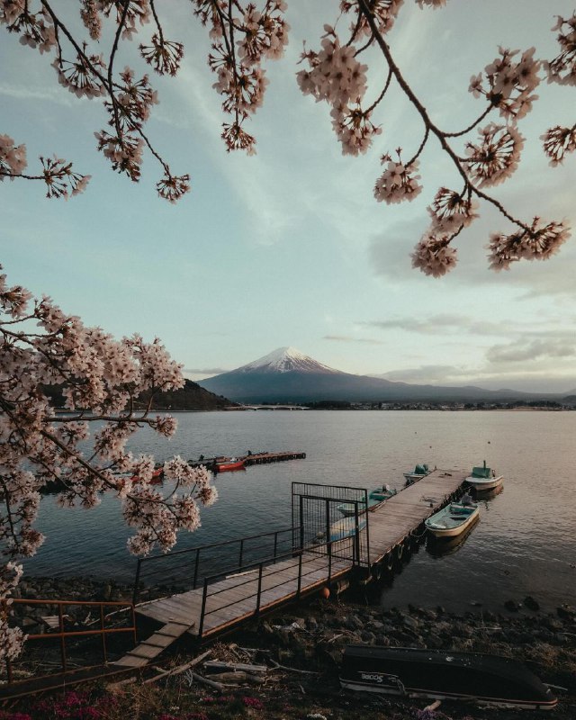 Thinking you know everything about a person is like thinking the sea ends at the horizon.