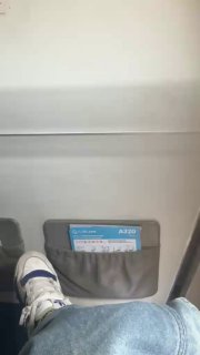 דין פישר