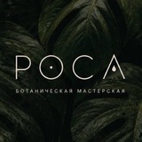 РОСА | наличие