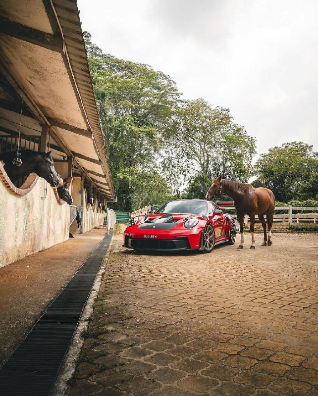 GT3 RS + 1 л.с. 3