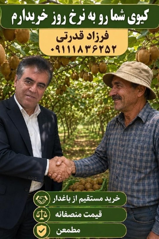 آویشارخبر: 🔴باغداران عزیز کیوی شما را به نرخ روز خریداریم.💢برای فروش محصول و کسب اطلاعات بیشتر تماس بگیرید.📞 ۰۹۱۱۱۸۳۶۲۵۲ فرزاد قدرت