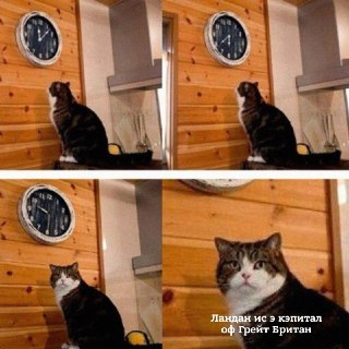 Долго откладывать свою мечту выучить язык — это нормально. Мы все так делаем, ожидая «идеального понедельника». Но вдруг именно сегодня тот самый день, когда стоит просто кликнуть по ссылке и прийти на пробный урок?Тут не кусаются, а уютно, тепло и много с