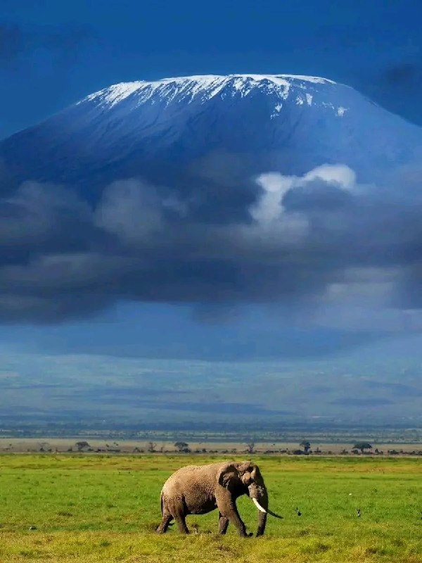 National Geographic farsi: قله کلیمانجارو 🏔️ از زاویه دید دشتهای سبز کنیا 😍🌏 | @NationalGeographicFarsi