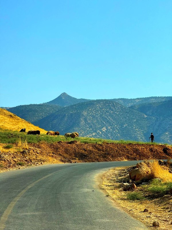 زلزله و هواشناسی کشور🔖: ⛰ چشم اندازی زیبا از رشته کوه سِیوان. کوه (چمنگل) استان ایلام مرداد ۱۴٠۵📸 عکاس : رضا سهیلی 🔴 #کانال_هواشناسی_کشور👇🏽https