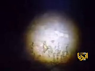 שובל של נמר חדש בדמאוואנד; הפעם זה נראה בגנים