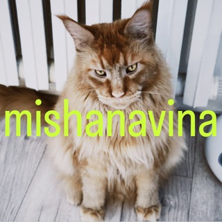 Telegram profile photo for mishanavina