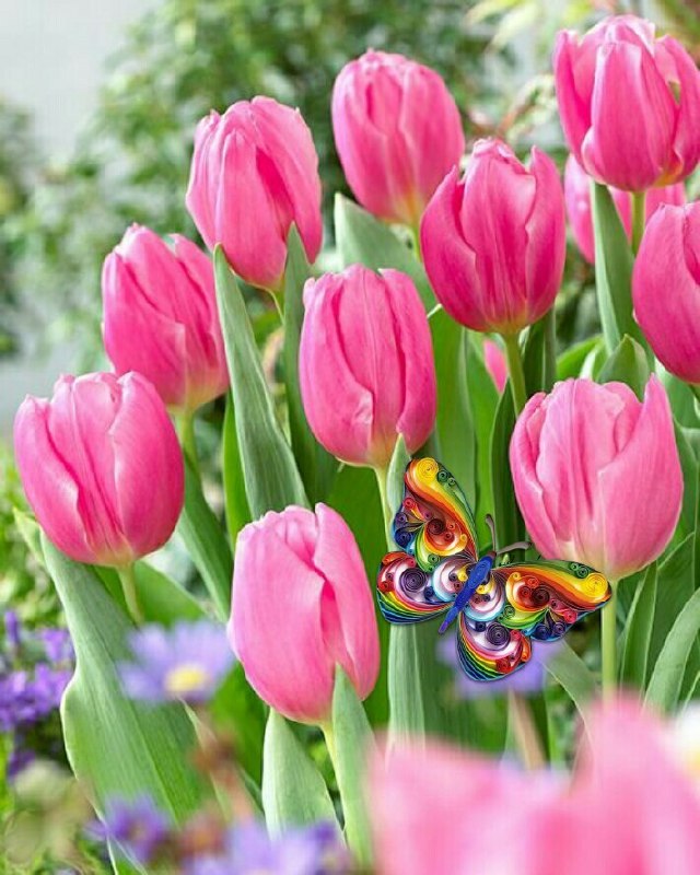 زخــم دل❤️‍🩹: 🌷بسم الله الرحمن الرحیم🌷با نام و یاد خدامیتوان بهترین روز را براے خود رقم زدپس با عشق ... و ایمان قلبے بگوییمخدایا به ام