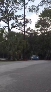 https://t.me/bmw_mpower_club