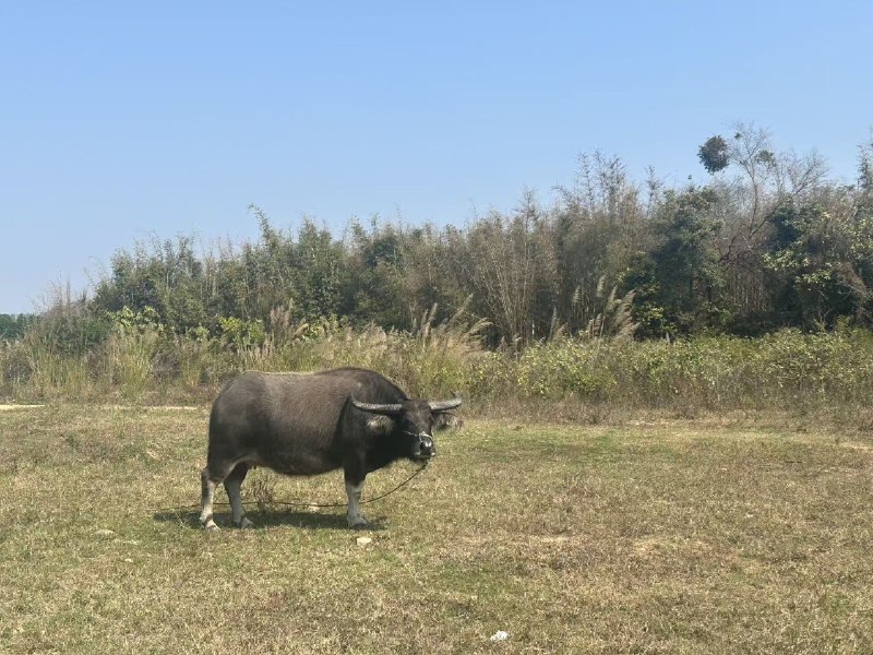 AI 降临派是工业革命效率至上的放大，看似很有想象力，细想却缺少想象力