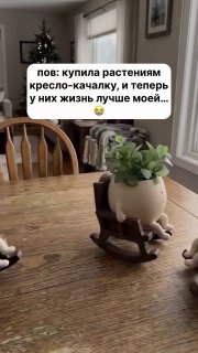 Горшок со смайликом у тебя появился зелёный друг Подвесное кашпо для дома и сада. Не боится солнца, дождя и перепадов температуры. Можно поставить ... - изображение 1 - горшок, telegram, view