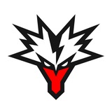 Team Yandex MLBB