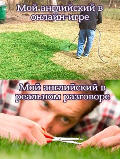 Хочешь спокойно говорить на английском, не испытывая гору стресса? Тогда учи язык так, как им пользуются носители: через общение, шутки и реальные ситуации. Записаться на бесплатный урок можно здесь:  https://lentach.media/wuMaF