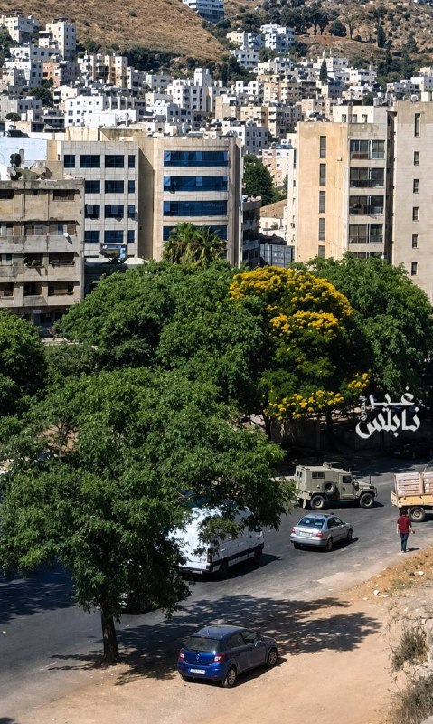 חלק מנוכחות רכבי כיבוש בטלעת אסו - רחוב אלראשיד