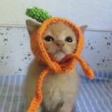 Дурка:🐥>> |Рест|