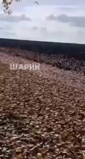 אוקראיני שהטיס מצנח רחיפה ממונע למולדובה ביקש שם מקלט מוקדם יותר, מרכז המבצעים האווירי של הצבא הלאומי של מו…