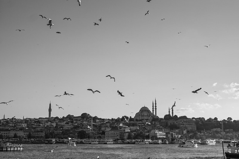Haifainfo.com