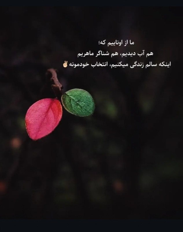 🎆🎀 فتونایس 🎀🎆: ما از اوناییم که.....#عکس_نوشته 🌺🍃@photoniceee✿࿐༅࿇༅࿐✿