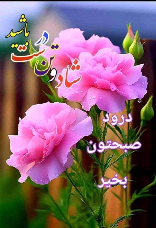 💔Nabz_ASHG💔: رسانه پست