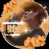 ˚₊‧꒰ა 𝓛𝓲𝓯𝓮 𝓬𝓱𝓪𝓷𝓷𝓮𝓵 ໒꒱ ‧₊˚