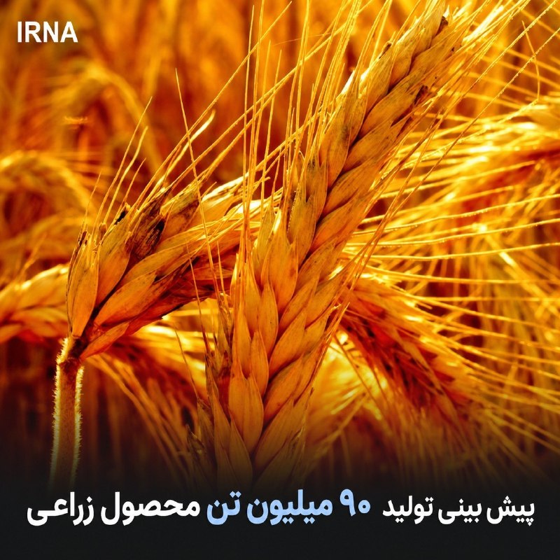 خبرگزاری ایرنا: 🔸برآورد معاون امور زراعت جهاد کشاورزی؛ تولید ۹۰ میلیون تن محصول زراعی🔹مجید آنجفی معاون امور زراعت وزارت جهاد کشاورزی گفت