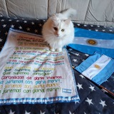 Аргентинские записки 🇦🇷