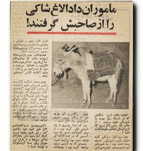 دوست داران دانایی: #الاغی که به #رئیس_شهربانی شکوائیه نوشت! ☺ سال52#دوست_داران_دانایی@danaeeii