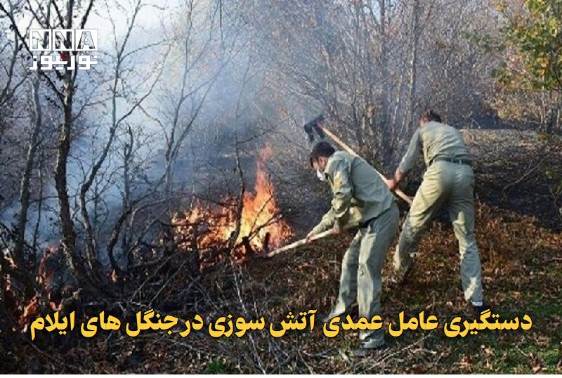 نورنیوز: ✅ دستگیری عامل عمدی آتشسوزی در جنگلهای ایلام🔹 فرمانده انتظامی شهرستان ایلام از دستگیری عامل عمدی آتشسوزی در جنگلهای