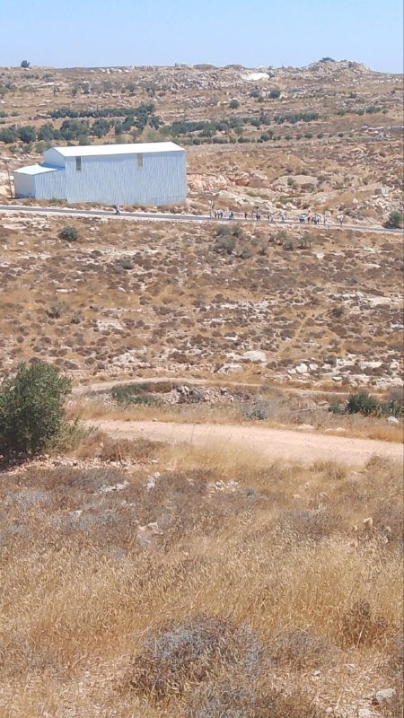 מיליציות מתנחלים תוקפות את ואדי סעיר מצפון לחברון ותוקפות חקלאים