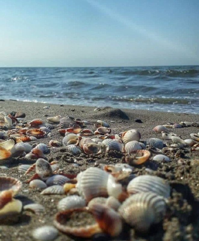 یواشکی دوستت خواهم داشت: 🌷☀️ *صبح دوشنبه ات بخیر*دوشنبه ست؛ یک صفحه‌ی سفید دیگه از هفته...بیا روش رو با نگرانی‌های دیروز پر نکنیم. 🍃امروز فقط *یک