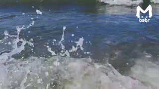 Если этот понедельник уже вынес душу и мозг, Байкал аккуратно вернёт всё на место.Рекомендация от админа: смотреть до полного дзена. Ну или пятницы.❤️ Если не загружаются видео и фото, наши новости есть в MAX