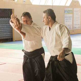 Pars Aikido (tissier group in iran) Telegram Group Link