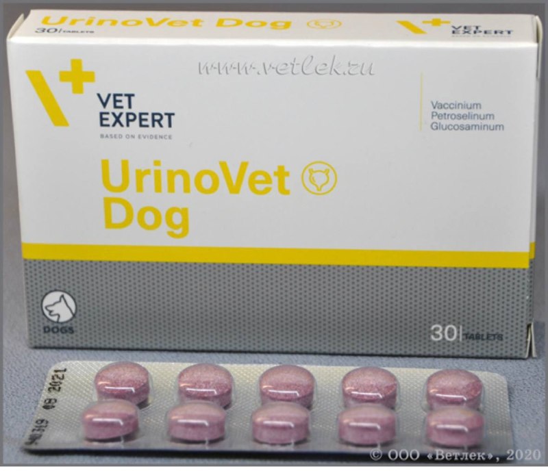 Где можно купить такие лекарства? — фото 1