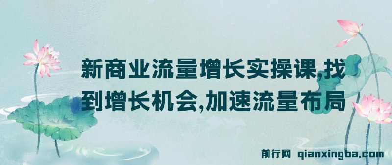 新商业流量增长实操课