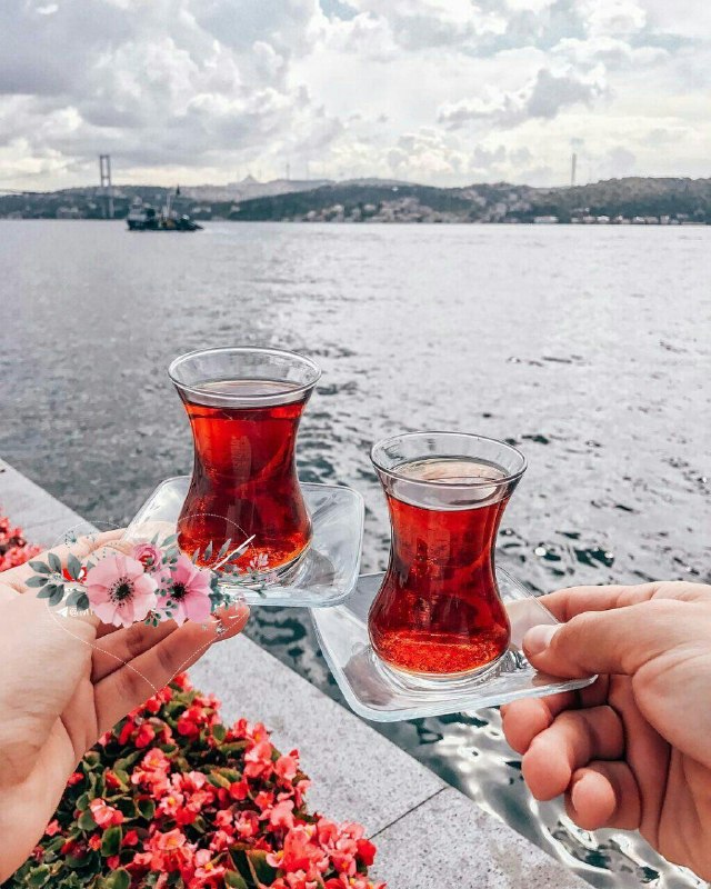 حس خوب: ⚘الهی ⚘امـروز⚘پنجره آرزوهایتان ⚘باز بشه به سمتباغ اِجــابت⚘و دلوجانتان ⚘غـرق در انوار شادی و رضایت گردد روز بخیر♥️